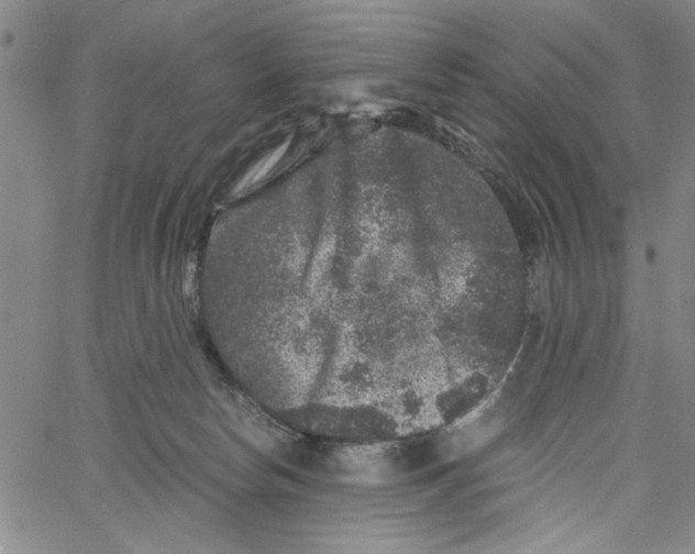 X0000061140178200512161539