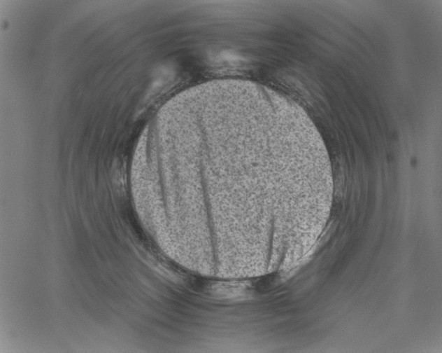 X0000061140179200512161539