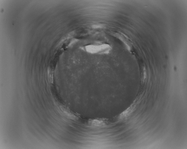 X0000061140180200512161539