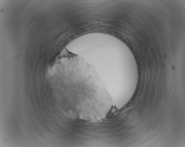 X0000061140181200512161539