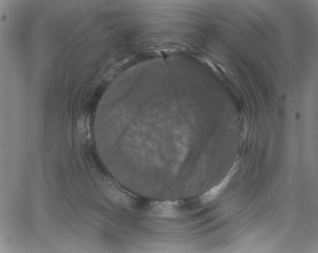 X0000061140182200512161539