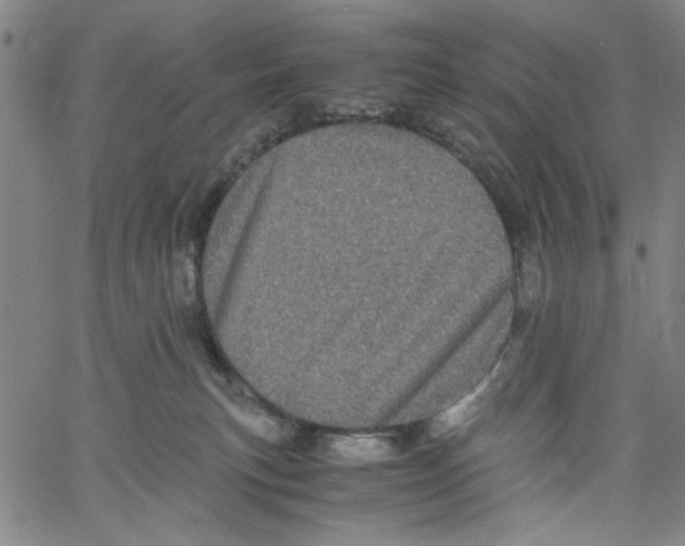 X0000061140183200512161539