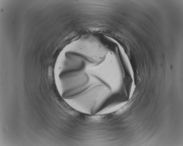 X0000061140184200512161539