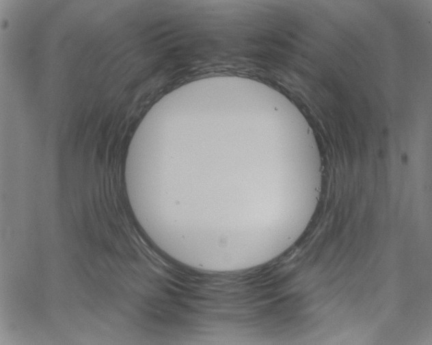 X0000061140185200512161539