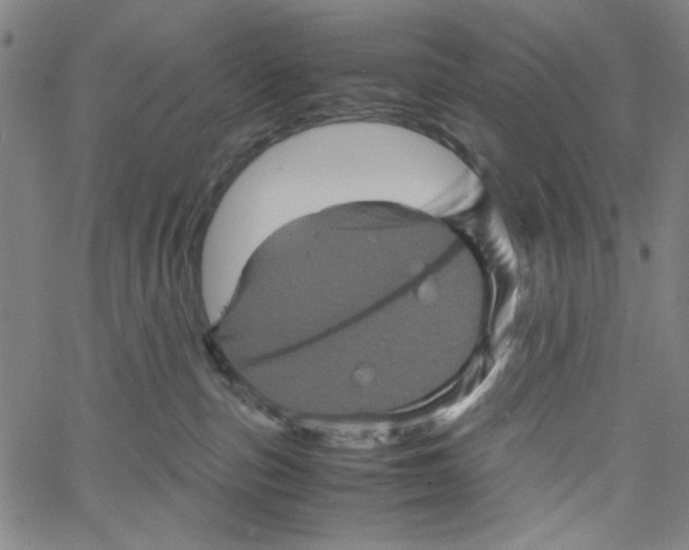 X0000061140187200512161539