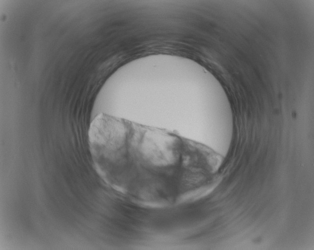 X0000061140189200512161539