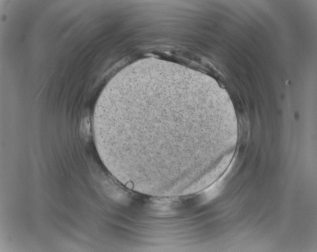 X0000061140190200512161539