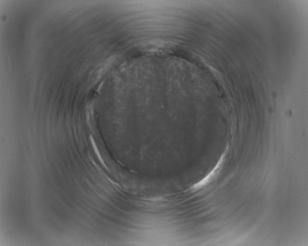 X0000061140192200512161539