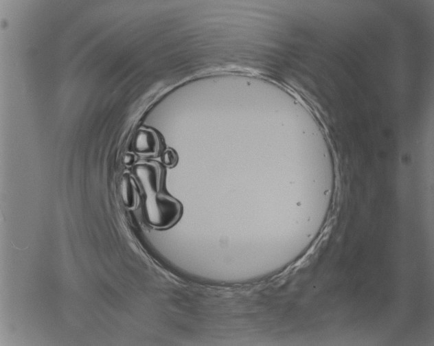 X0000061140193200512161539