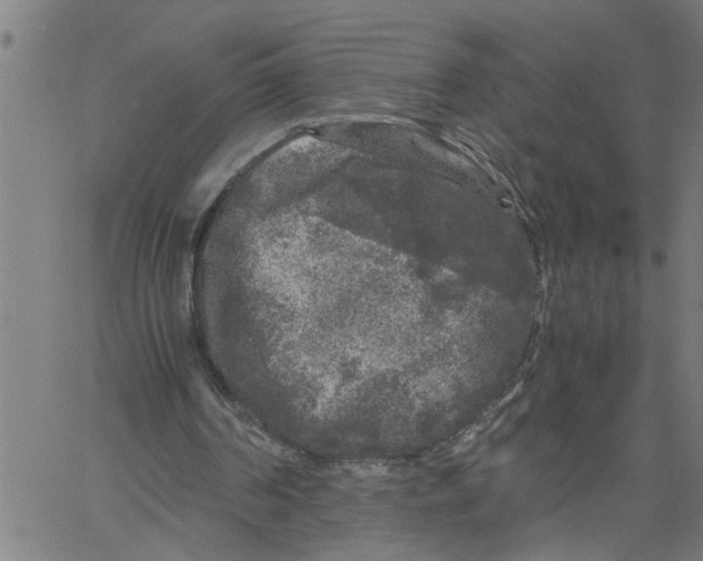 X0000061140194200512161539