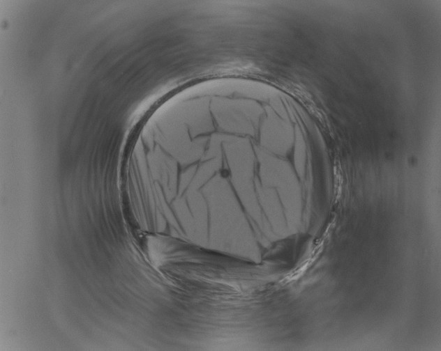 X0000061140196200512161539