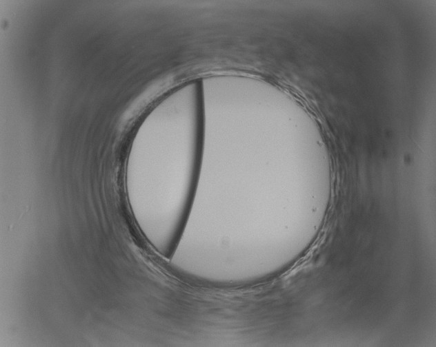 X0000061140197200512161539