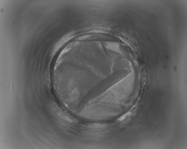 X0000061140198200512161539