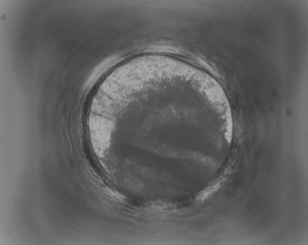 X0000061140199200512161539