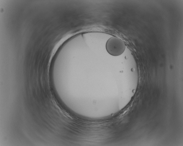 X0000061140200200512161538