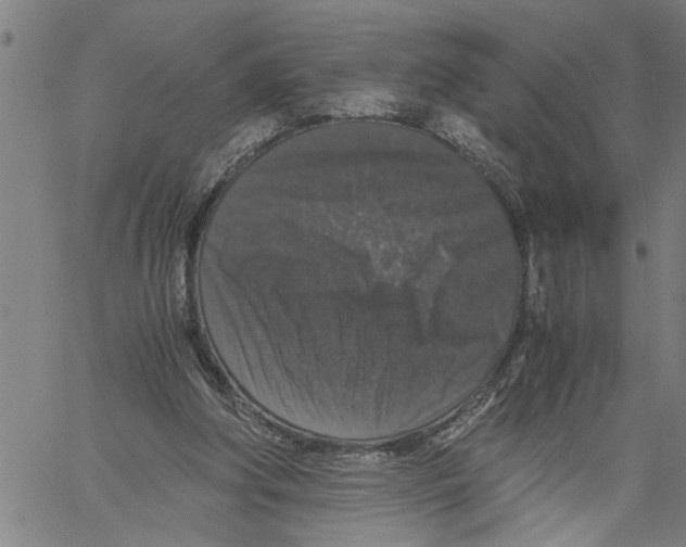 X0000061140202200512161538