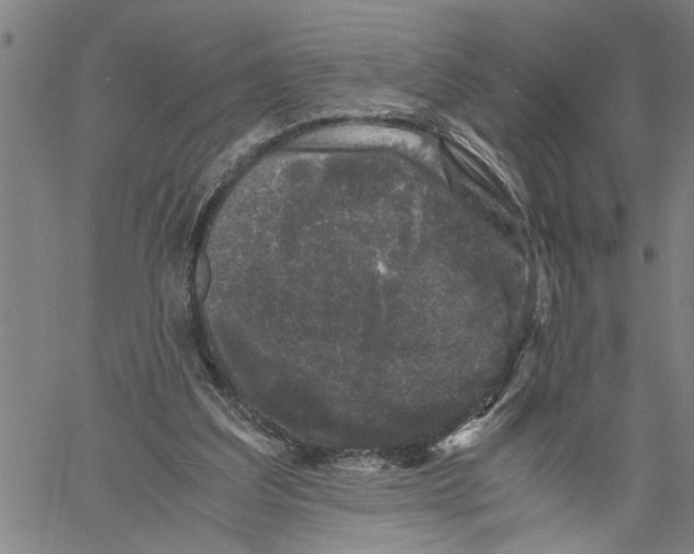 X0000061140203200512161538