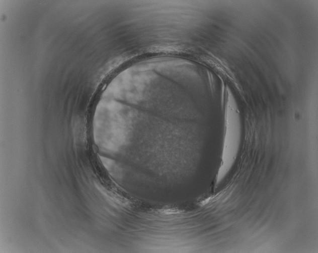 X0000061140204200512161538