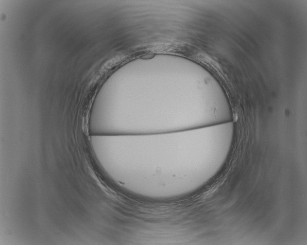 X0000061140205200512161538