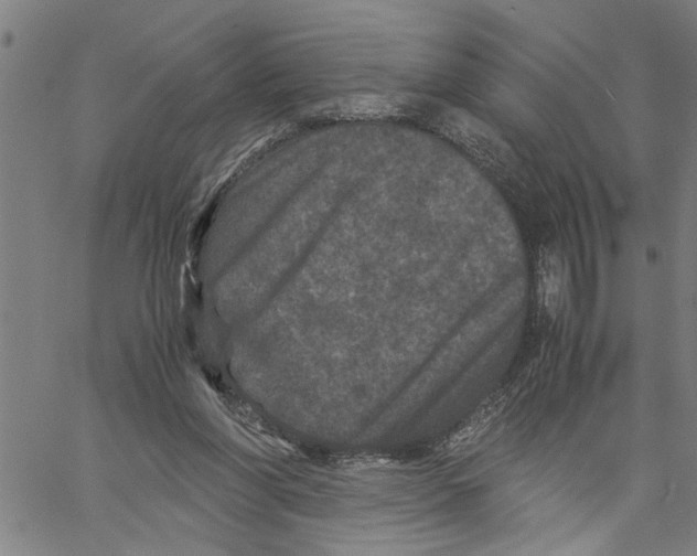 X0000061140206200512161538