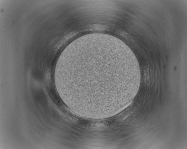 X0000061140208200512161538