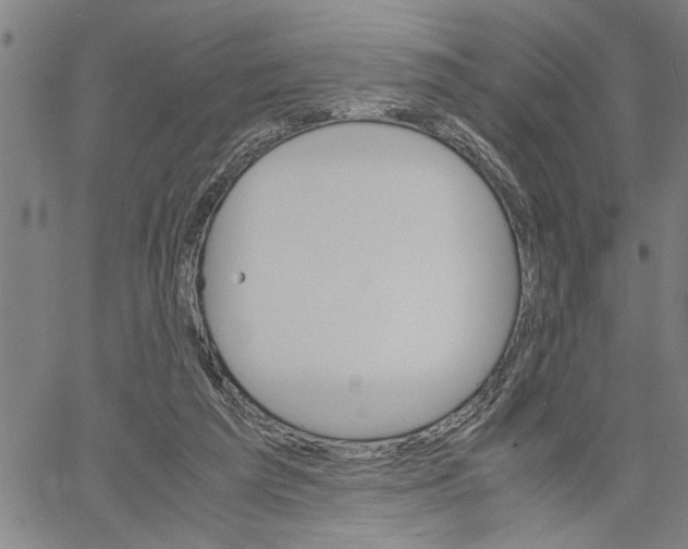 X0000061140209200512161538