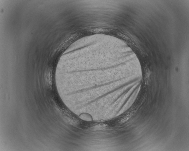 X0000061140210200512161538