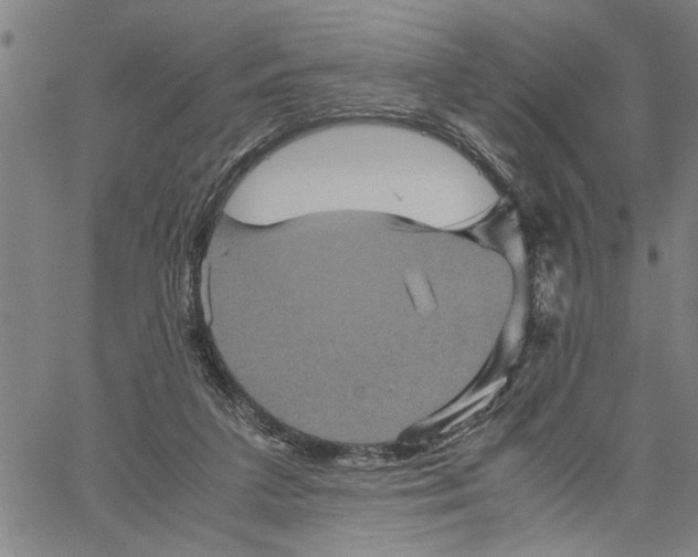 X0000061140211200512161538