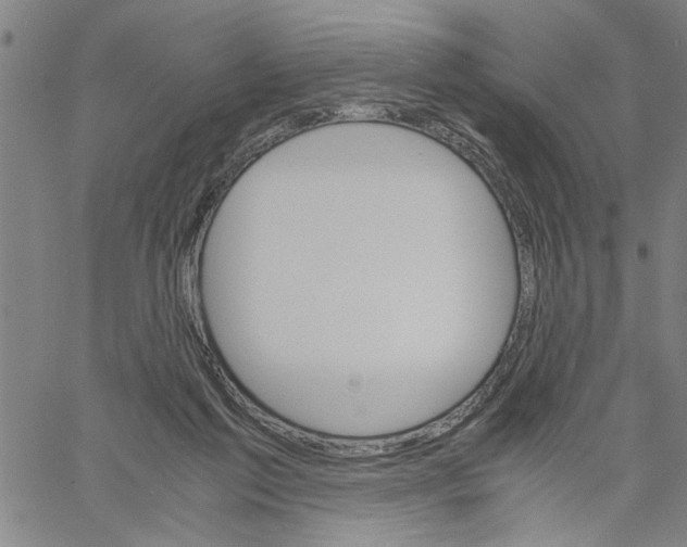 X0000061140213200512161538