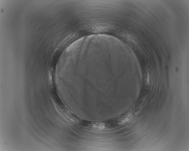 X0000061140214200512161538