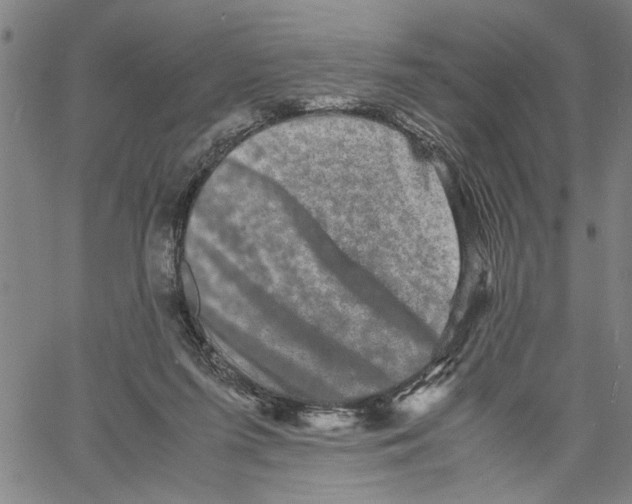 X0000061140215200512161538