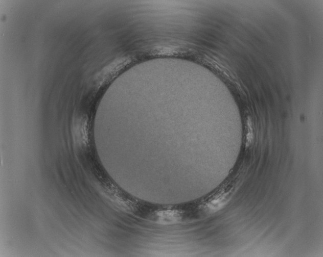 X0000061140216200512161538