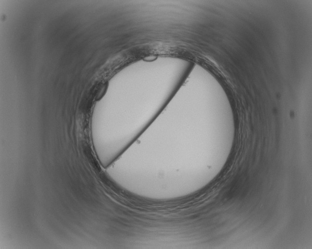 X0000061140217200512161538