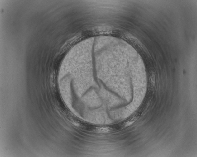 X0000061140218200512161538