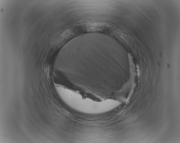 X0000061140219200512161538