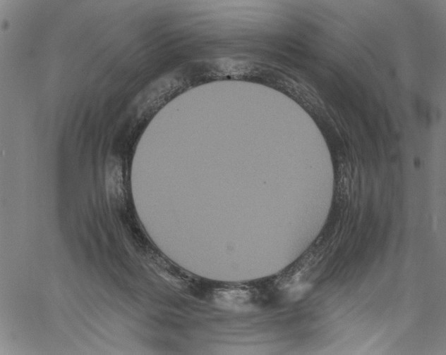 X0000061140220200512161538