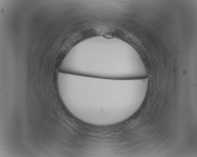 X0000061140221200512161538