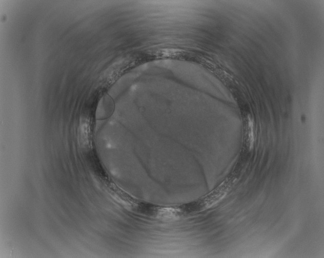 X0000061140222200512161538