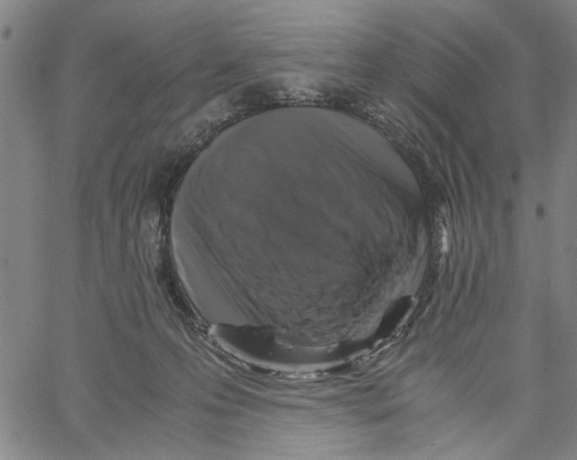 X0000061140223200512161538