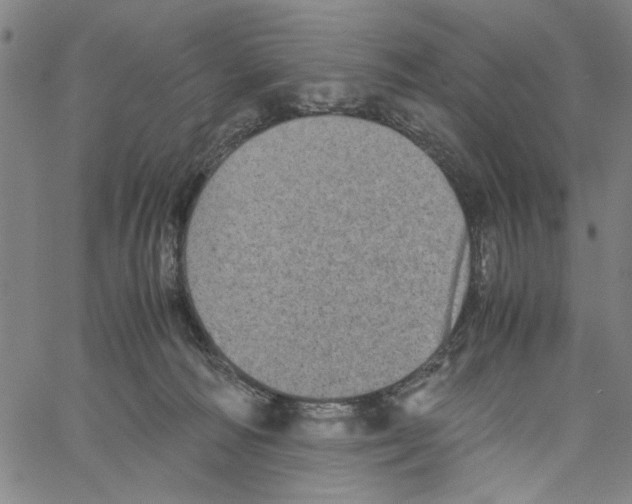 X0000061140226200512161538