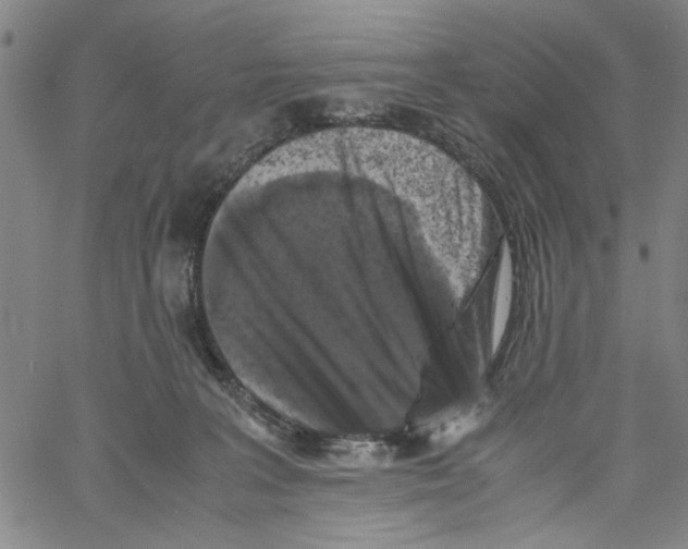 X0000061140227200512161538