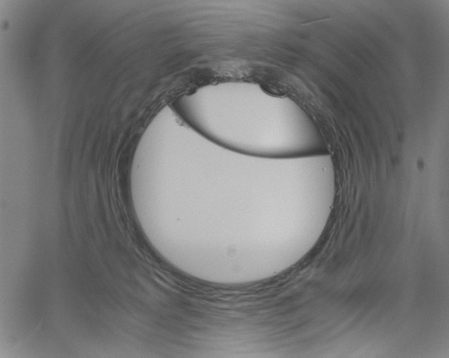 X0000061140229200512161538