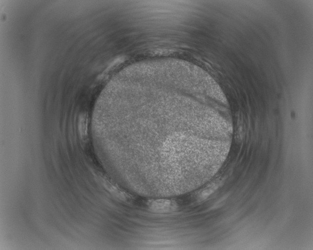 X0000061140230200512161538