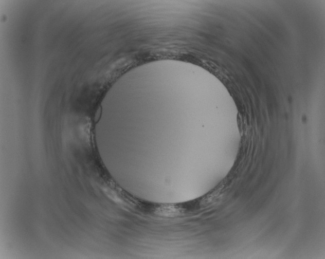 X0000061140231200512161538