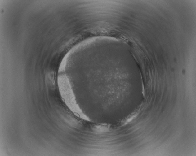 X0000061140232200512161538