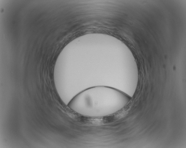 X0000061140233200512161538