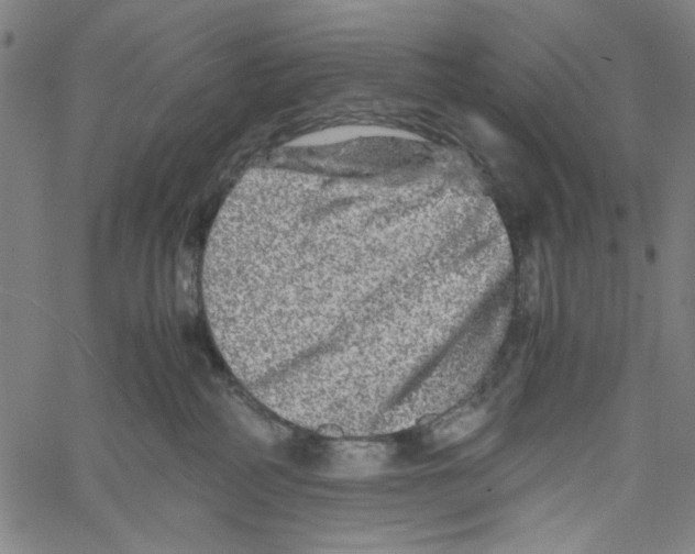 X0000061140234200512161538