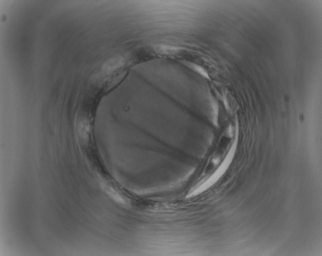 X0000061140235200512161538