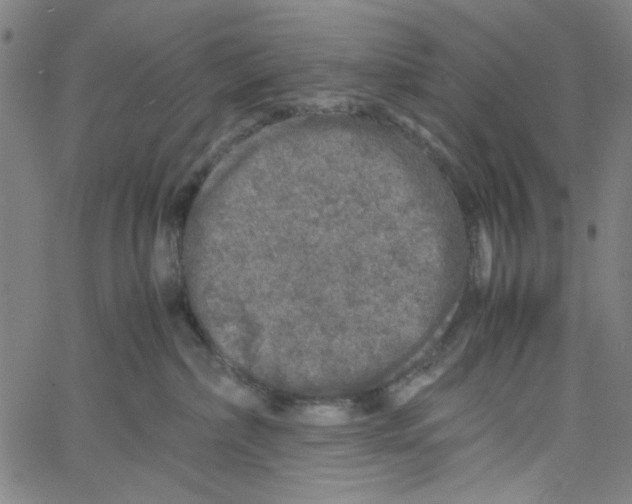 X0000061140236200512161538