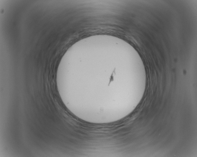 X0000061140237200512161538